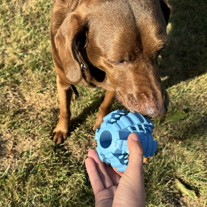 Duvoplus Ball Griplay Dental Rippe