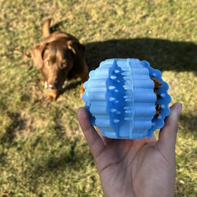 Duvoplus Ball Griplay Dental Rippe